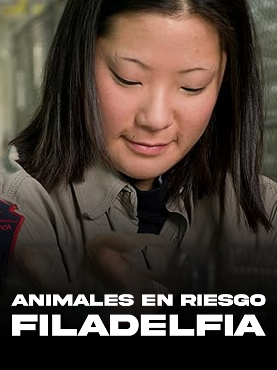 Animales En Riesgo